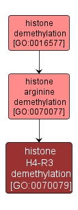 GO:0070079 - histone H4-R3 demethylation (interactive image map)