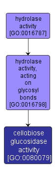 GO:0080079 - cellobiose glucosidase activity (interactive image map)