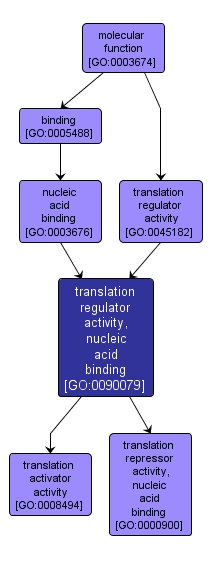 GO:0090079 - translation regulator activity, nucleic acid binding (interactive image map)