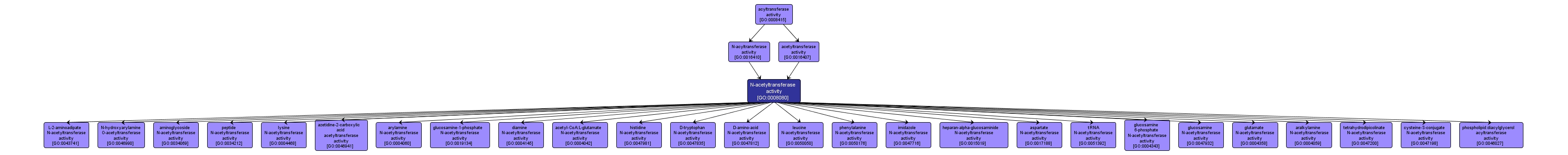 GO:0008080 - N-acetyltransferase activity (interactive image map)