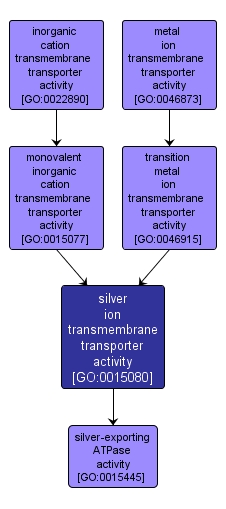 GO:0015080 - silver ion transmembrane transporter activity (interactive image map)