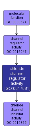 GO:0017081 - chloride channel regulator activity (interactive image map)
