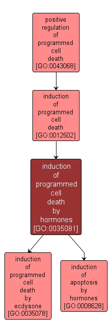 GO:0035081 - induction of programmed cell death by hormones (interactive image map)