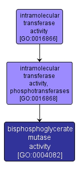 GO:0004082 - bisphosphoglycerate mutase activity (interactive image map)