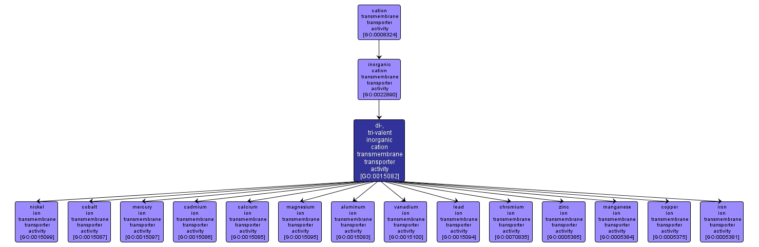 GO:0015082 - di-, tri-valent inorganic cation transmembrane transporter activity (interactive image map)