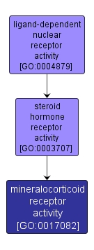 GO:0017082 - mineralocorticoid receptor activity (interactive image map)