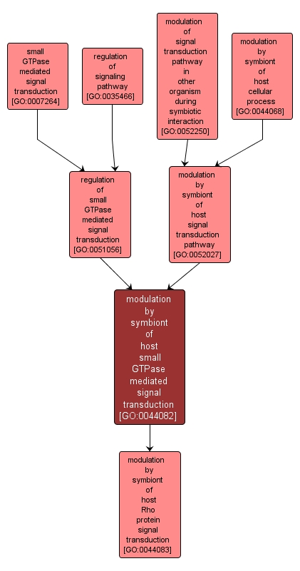 GO:0044082 - modulation by symbiont of host small GTPase mediated signal transduction (interactive image map)