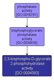 GO:0004083 - 2,3-bisphospho-D-glycerate 2-phosphohydrolase activity (interactive image map)