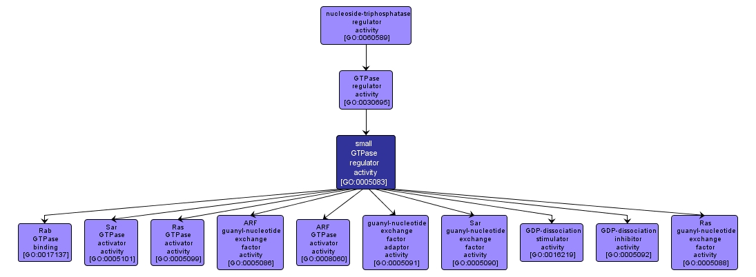 GO:0005083 - small GTPase regulator activity (interactive image map)