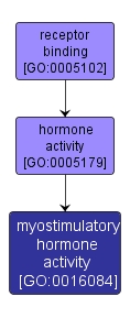 GO:0016084 - myostimulatory hormone activity (interactive image map)