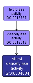GO:0034084 - steryl deacetylase activity (interactive image map)