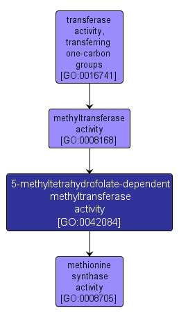GO:0042084 - 5-methyltetrahydrofolate-dependent methyltransferase activity (interactive image map)