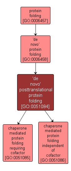 GO:0051084 - 'de novo' posttranslational protein folding (interactive image map)