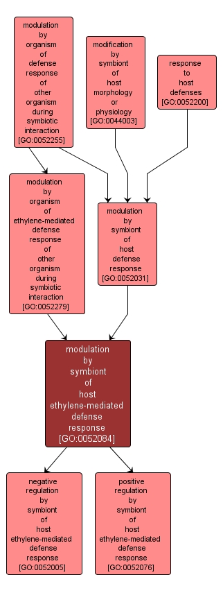 GO:0052084 - modulation by symbiont of host ethylene-mediated defense response (interactive image map)