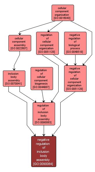 GO:0090084 - negative regulation of inclusion body assembly (interactive image map)