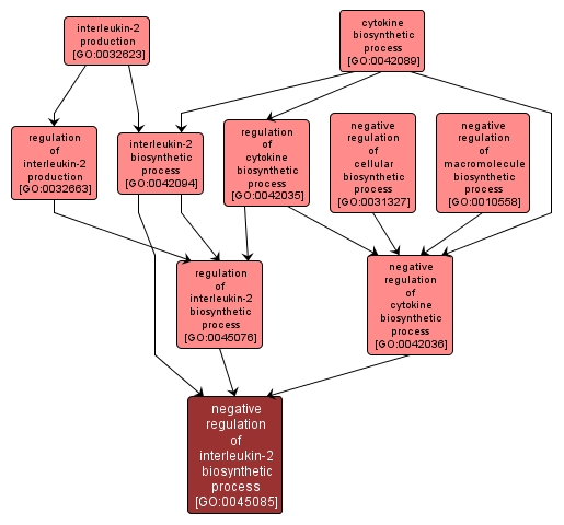 GO:0045085 - negative regulation of interleukin-2 biosynthetic process (interactive image map)