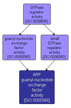 GO:0005086 - ARF guanyl-nucleotide exchange factor activity (interactive image map)