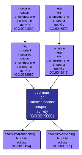 GO:0015086 - cadmium ion transmembrane transporter activity (interactive image map)