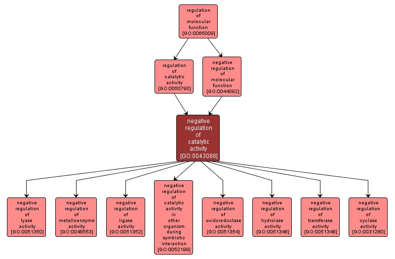 GO:0043086 - negative regulation of catalytic activity (interactive image map)