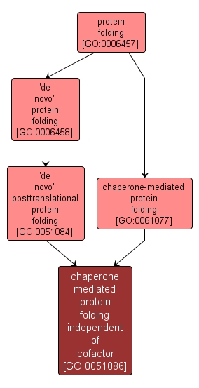 GO:0051086 - chaperone mediated protein folding independent of cofactor (interactive image map)
