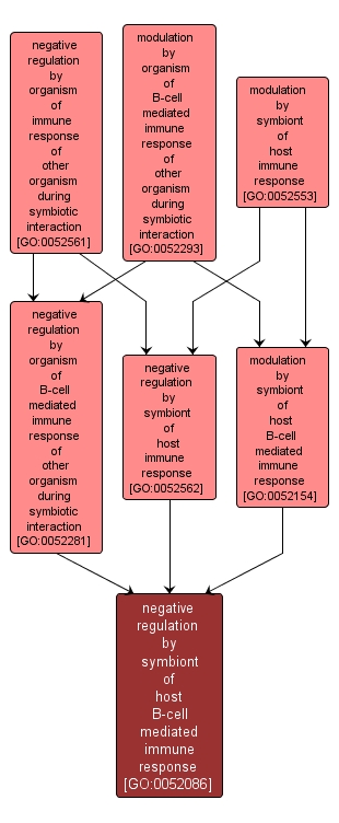 GO:0052086 - negative regulation by symbiont of host B-cell mediated immune response (interactive image map)