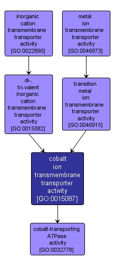 GO:0015087 - cobalt ion transmembrane transporter activity (interactive image map)