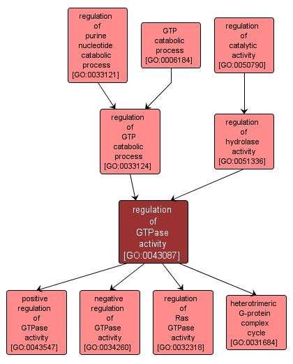 GO:0043087 - regulation of GTPase activity (interactive image map)