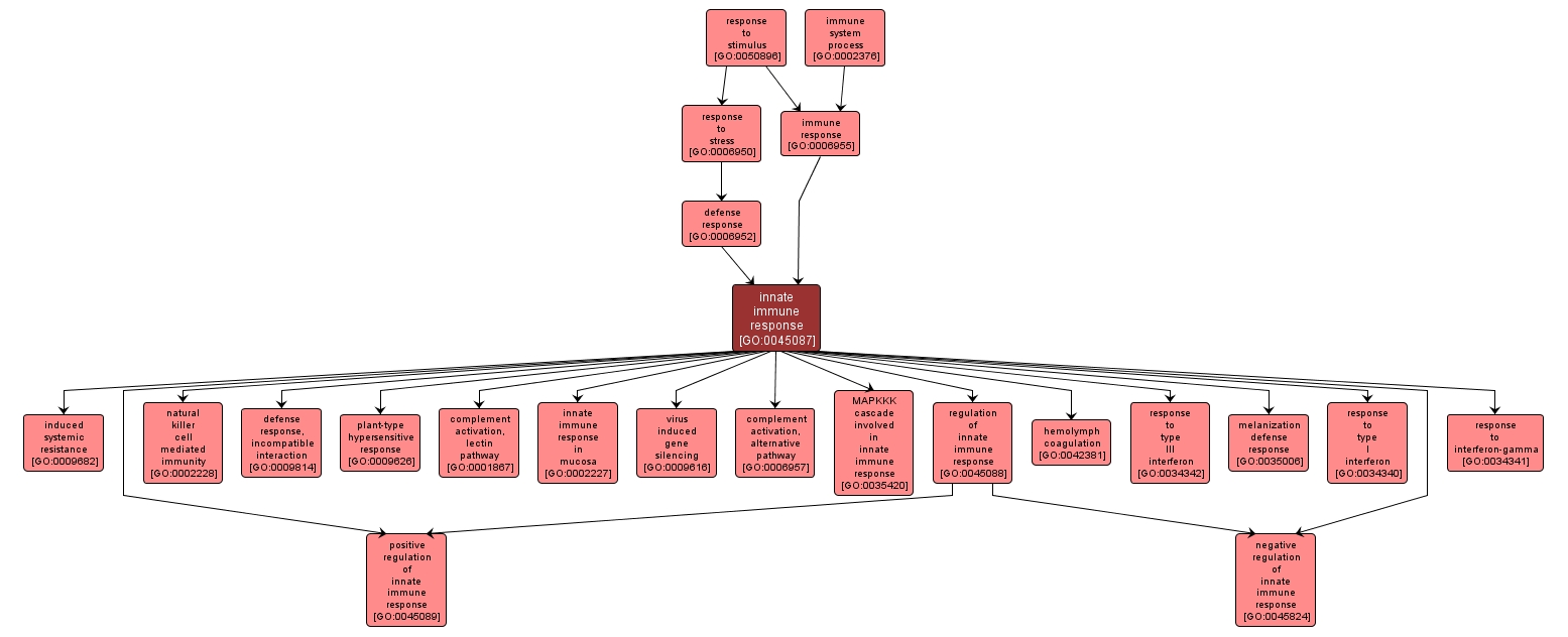 GO:0045087 - innate immune response (interactive image map)