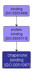 GO:0051087 - chaperone binding (interactive image map)