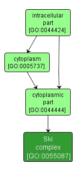 GO:0055087 - Ski complex (interactive image map)