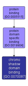 GO:0070087 - chromo shadow domain binding (interactive image map)