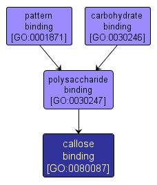 GO:0080087 - callose binding (interactive image map)