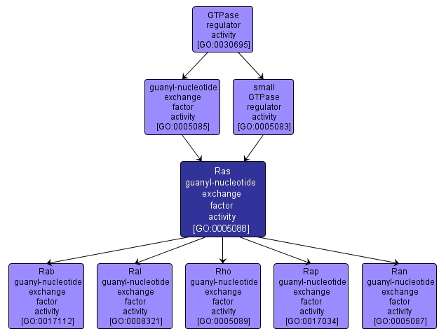 GO:0005088 - Ras guanyl-nucleotide exchange factor activity (interactive image map)