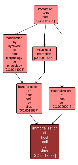 GO:0019088 - immortalization of host cell by virus (interactive image map)