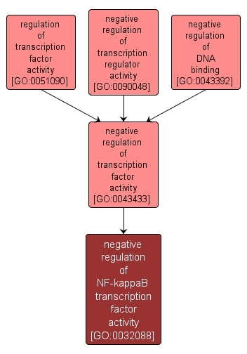 GO:0032088 - negative regulation of NF-kappaB transcription factor activity (interactive image map)