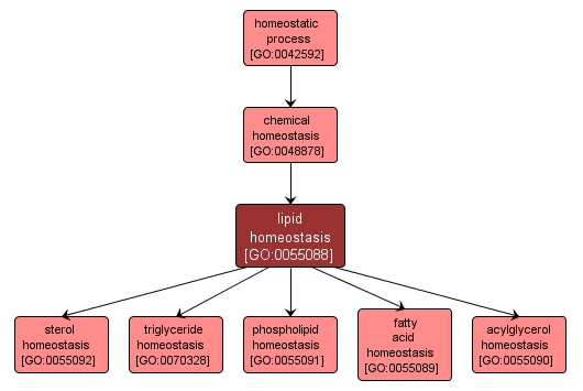 GO:0055088 - lipid homeostasis (interactive image map)