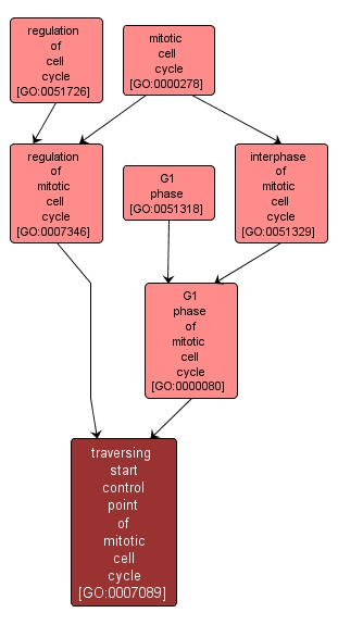 GO:0007089 - traversing start control point of mitotic cell cycle (interactive image map)