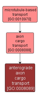 GO:0008089 - anterograde axon cargo transport (interactive image map)