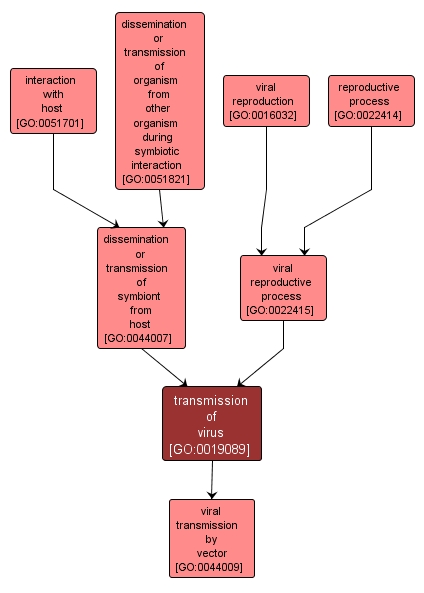 GO:0019089 - transmission of virus (interactive image map)