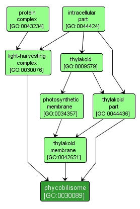 GO:0030089 - phycobilisome (interactive image map)