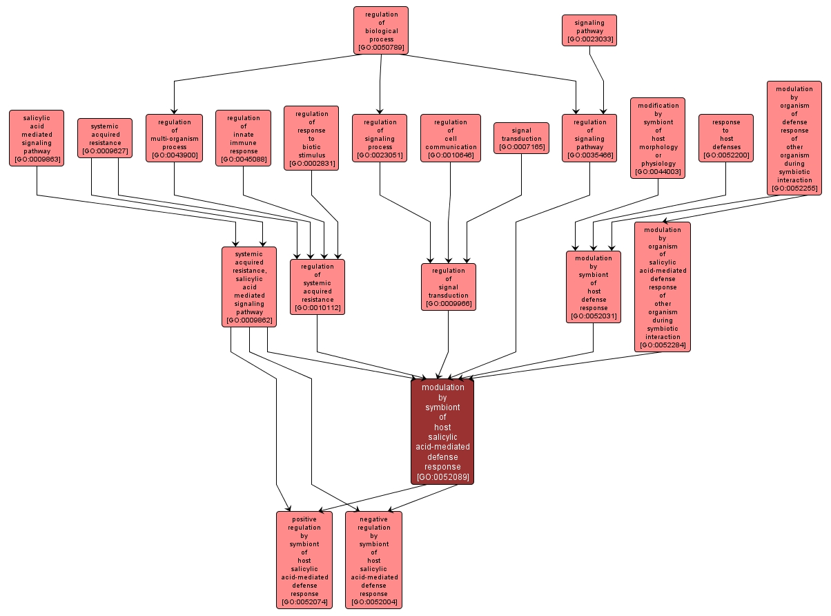 GO:0052089 - modulation by symbiont of host salicylic acid-mediated defense response (interactive image map)