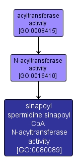 GO:0080089 - sinapoyl spermidine:sinapoyl CoA N-acyltransferase activity (interactive image map)