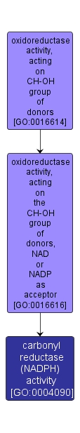 GO:0004090 - carbonyl reductase (NADPH) activity (interactive image map)