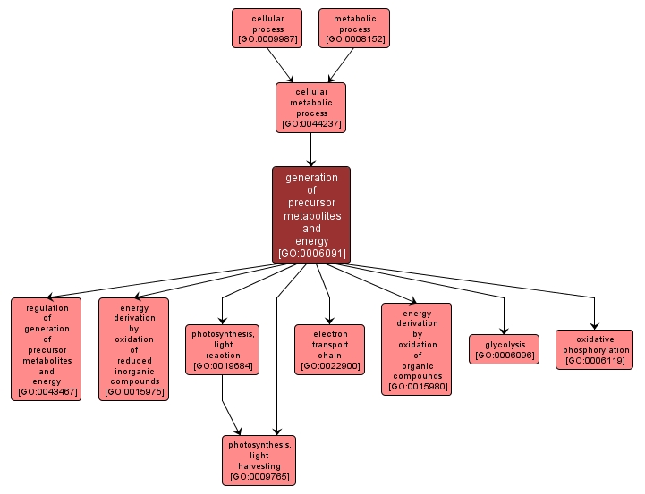 GO:0006091 - generation of precursor metabolites and energy (interactive image map)