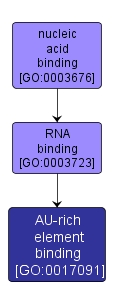 GO:0017091 - AU-rich element binding (interactive image map)