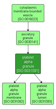 GO:0031091 - platelet alpha granule (interactive image map)