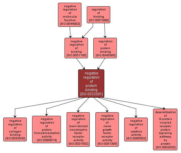 GO:0032091 - negative regulation of protein binding (interactive image map)