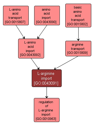 GO:0043091 - L-arginine import (interactive image map)