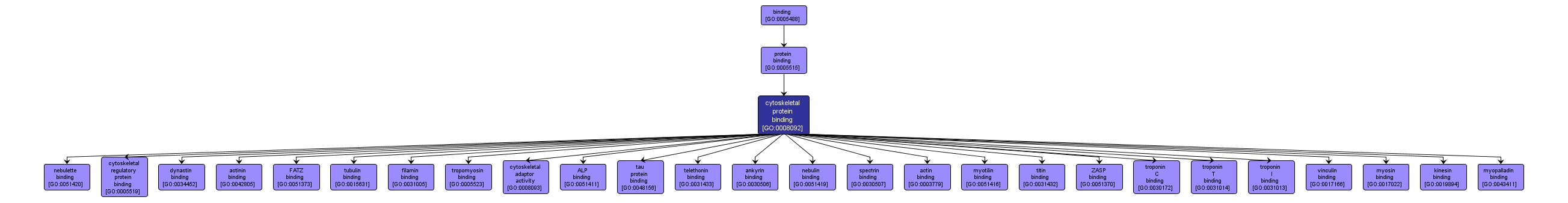 GO:0008092 - cytoskeletal protein binding (interactive image map)