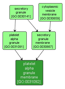 GO:0031092 - platelet alpha granule membrane (interactive image map)